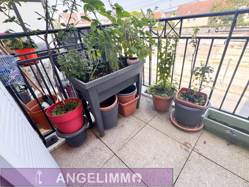 APPARTEMENT 2 PIÈCES – LOCATION VIDE